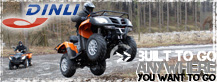 Dinli Atv and Quad